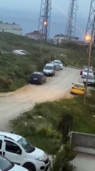 Sinop’ta başıboş köpek sorunu