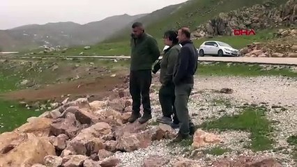 Türkiye'nin ''Yılan Pınarı''na bahar geldi: Her yerden yılanlar çıkıyor!