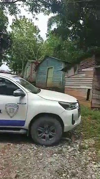 Comunitarios de Cotuí protestan para impedir tala de árboles por parte de Barrick Gold en cabecera del río El Naranjo