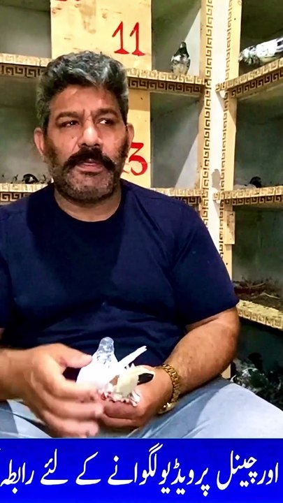 Subscribe Our YouTube Channel For Complete Videos https://www.youtube.com/@PakistanPigeonAssociation