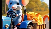 Funny videos