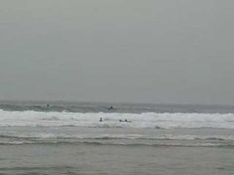 Donostia/San Sebastian (Espagne) : surfeurs