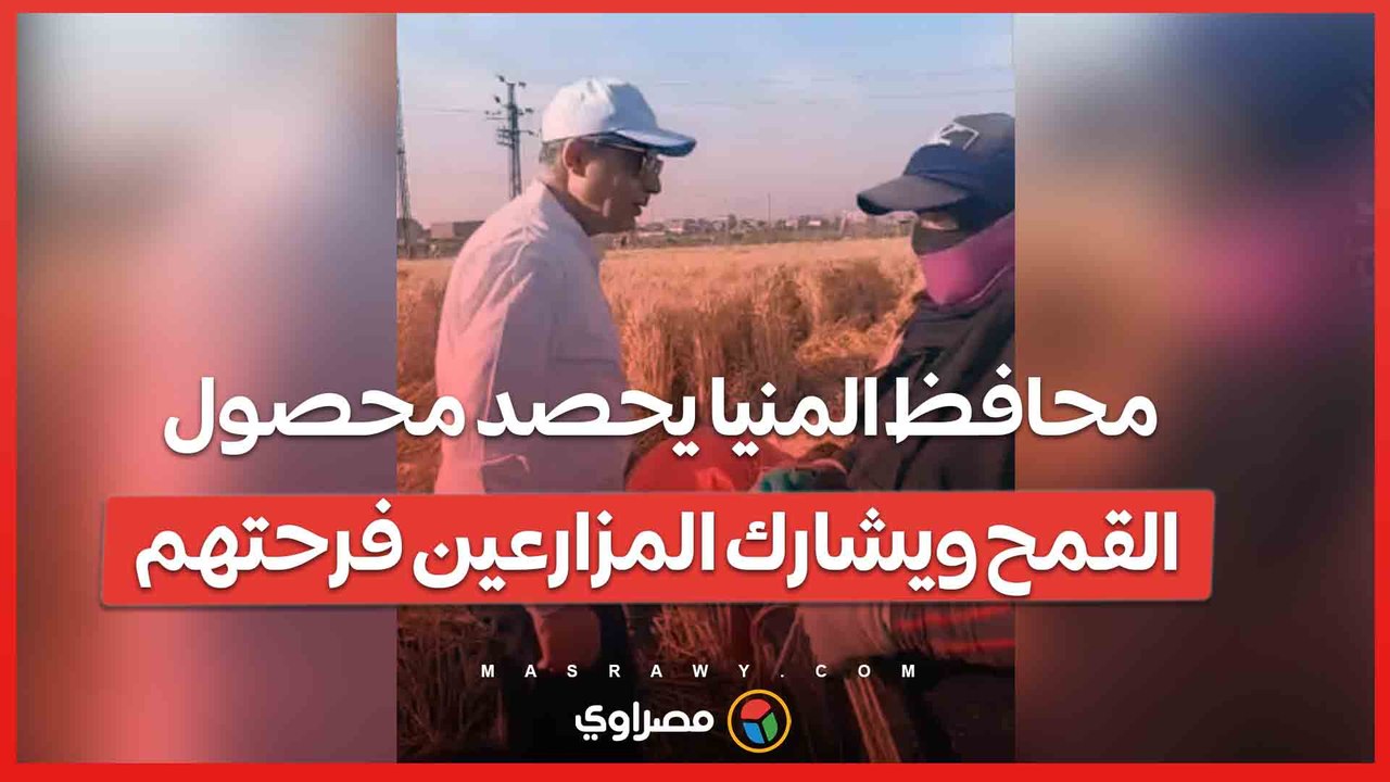 بالمنجل.. محافظ المنيا يحصد محصول القمح ويشارك المزارعين فرحتهم
