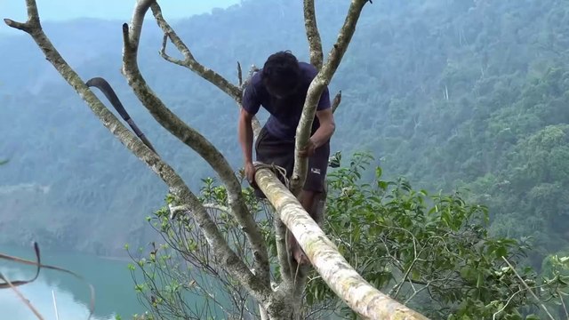 Build a towering tree house with panoramic mountain river views in the wilderness!