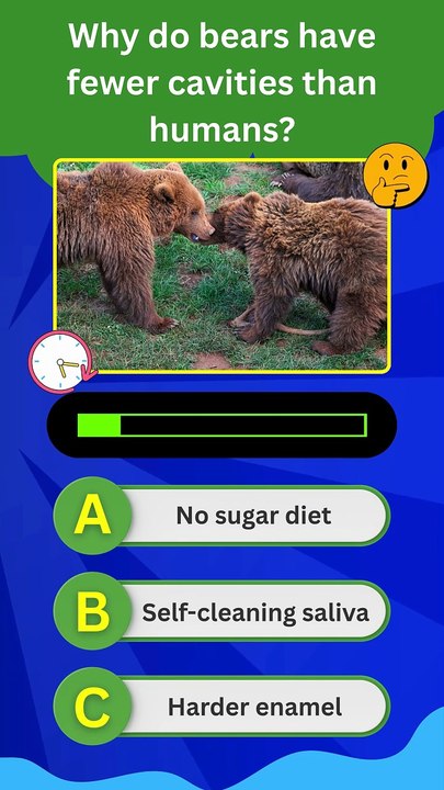 Bear Teeth Quiz: Can You Score 4/4? 🐻🦷 | Wildlife Trivia Challenge for Animal Lovers!