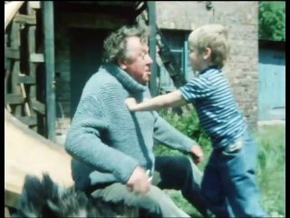 Sprache der Vögel (DDR 1991) – Ein faszinierender Einblick in die Vogelkommunikation 🐦