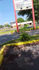 It leaves you baby. If you don't care for it.- BONO