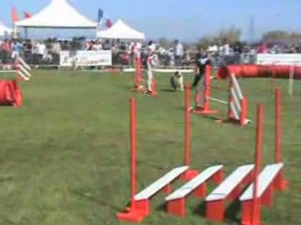 BAXTER maugio FAR 04-05-08 jump