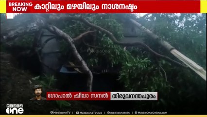വിതുരയിൽ കാറ്റിലും മഴയിലും വൻ നാശനഷ്ടം; അഞ്ച് വീടുകൾ ഭാഗികമായി തകർന്നു
