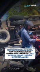 Udang Lagi Mahal-mahalnya, Truk Bawa Udang Di Bali Oleng, Tapi Tak Satupun Orang Tergoda Buat Jarah