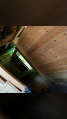 Airsoft France : mais t'es pas avec moi