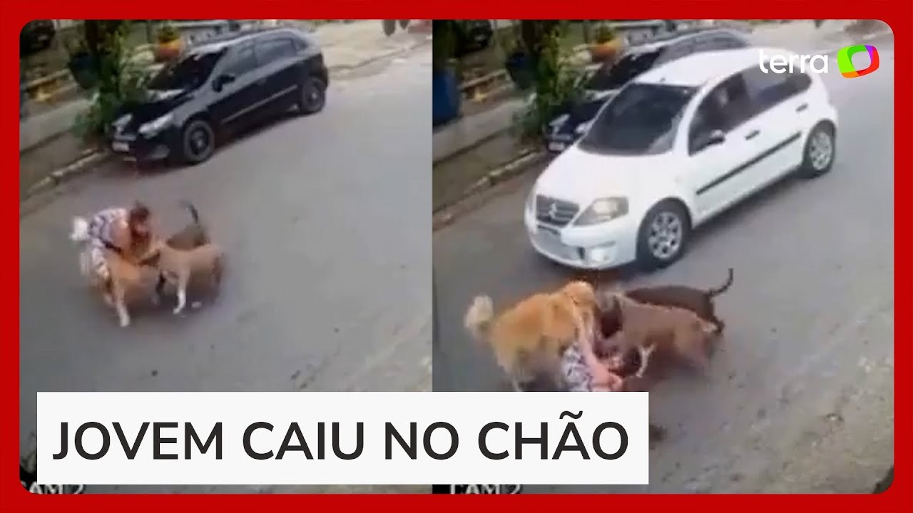 Grávida tenta proteger cachorro de ataque de cães no litoral de SP