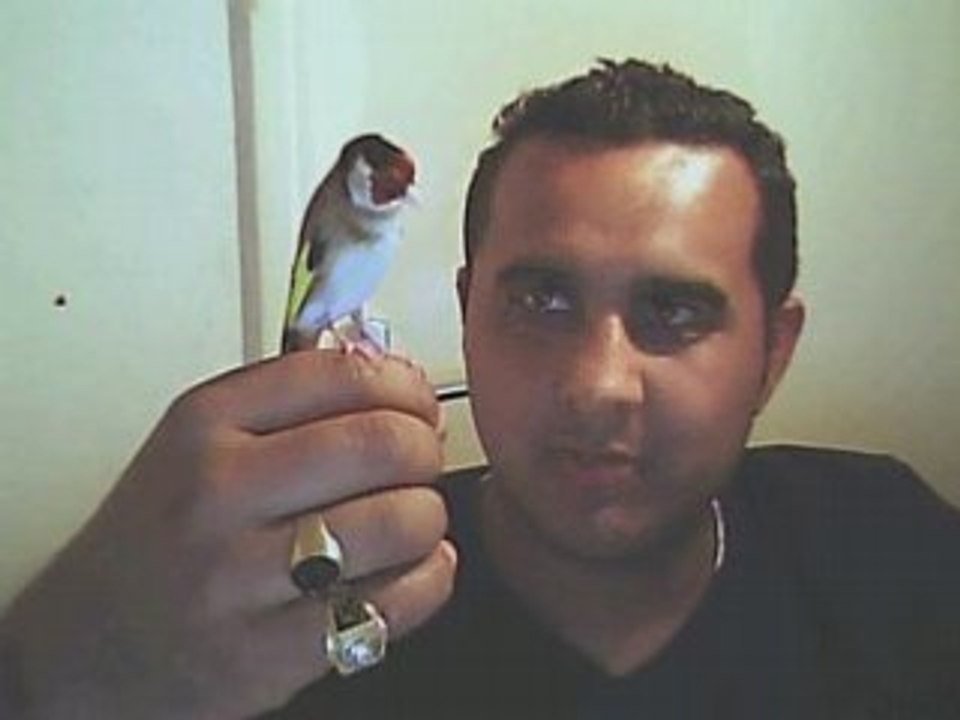 gitan mon chardon  el  bébé