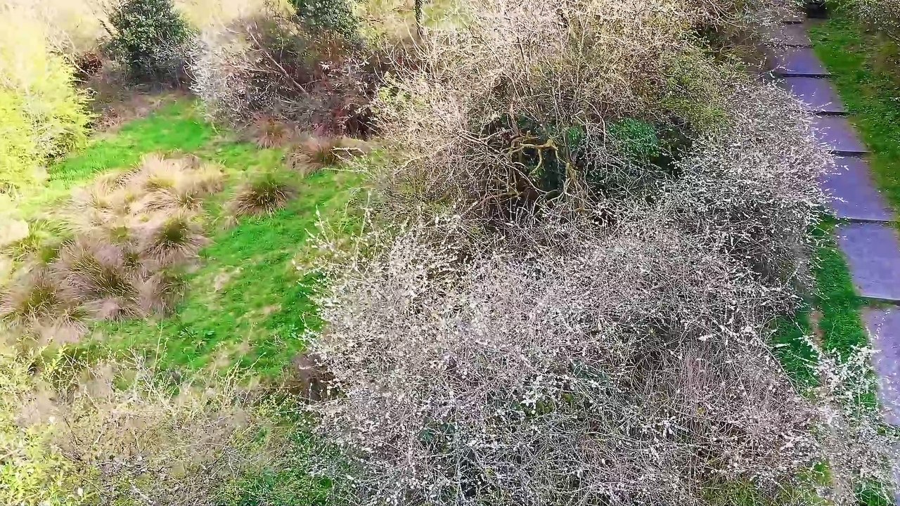 FILTE GO POLL AN EASA