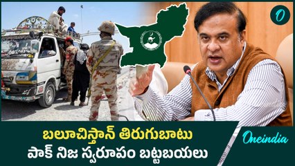 Balochistan Issue : Assam CM EXPOSED Pak పాక్ నిజ స్వరూపం బట్టబయలు | Oneindia Telugu