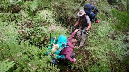 Unbounded | movie | 2018 | Official Trailer