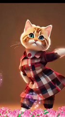 Danceing cat 😺