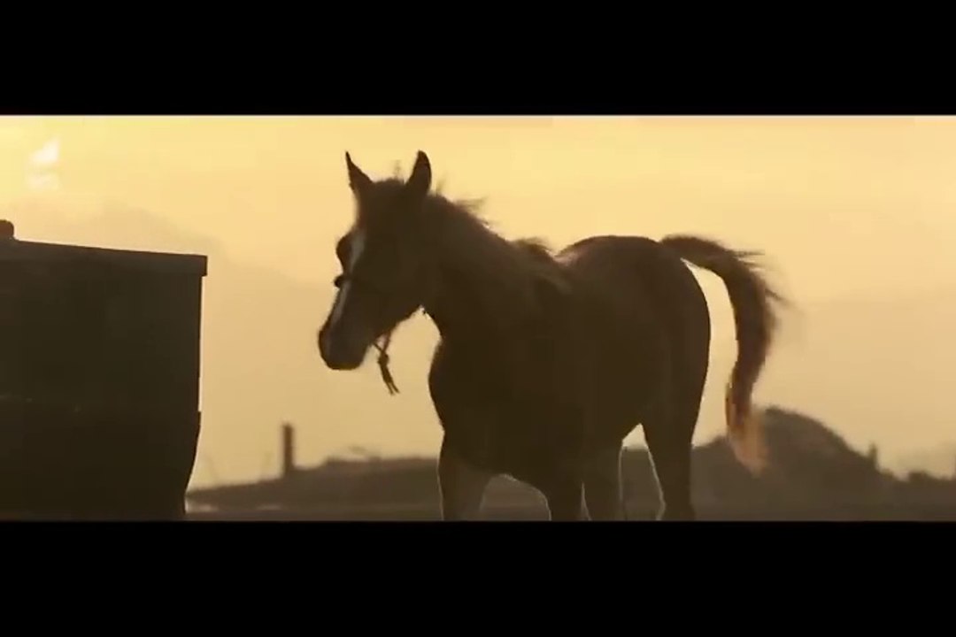 RUNNING FREE _ Hollywood Movie Hindi Dubbed