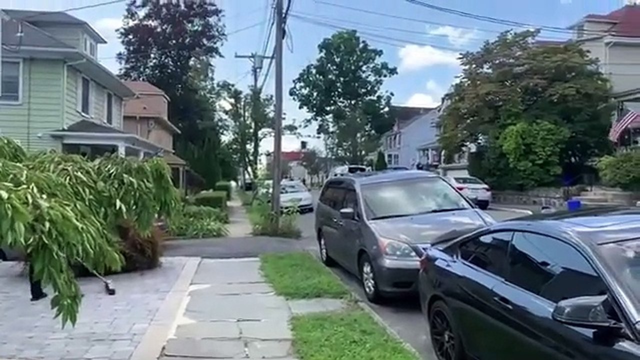 Filling Joints With Polymeric Sand _ Weed And Grass Removal