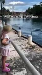 In his playful heart, the dolphin was looking for someone to have fun with.