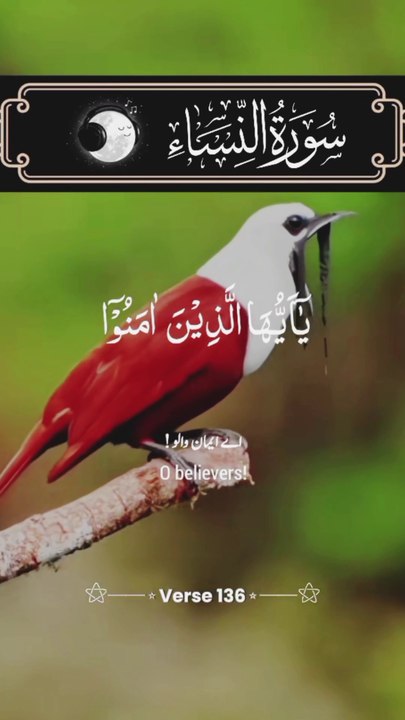 #holyquran #islamicstatus #islam #islamic #quran