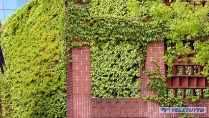 In piazza con noi - Puntata 312 - 80 anni del GIORNALE DI BRESCIA