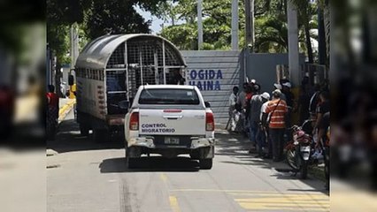 Activan unidad especializada para atacar redes de tráfico de migrantes