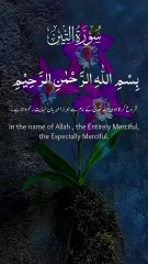 #holyquran #islamicstatus #islam #islamic #quran  #bestvideoislamic #quranislamicshorts