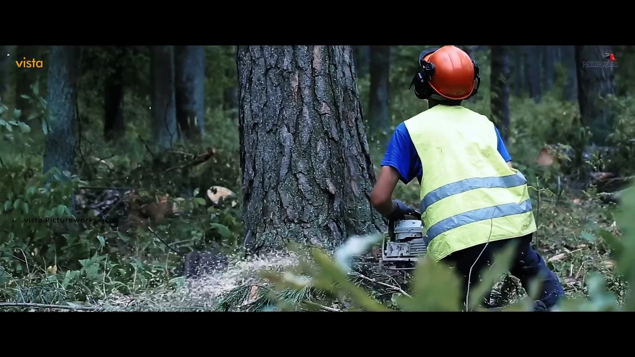 JUNGLE RUN _ 4K HD _ Hollywood Horror Action Hindi Dubbed Movies