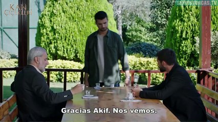 Kan Cicekleri - Capitulo 372 Completo en Español