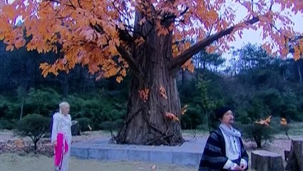 THIÊN NGOẠI PHI TIÊN - TẬP 27 - (Thuyết minh)