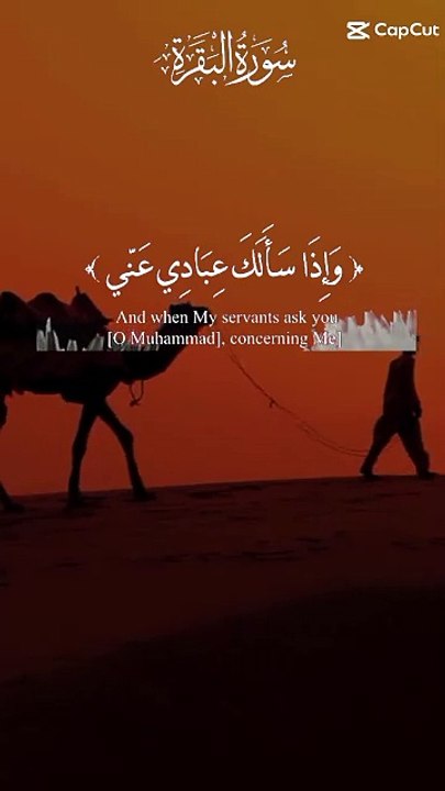 Muslims ☪️
