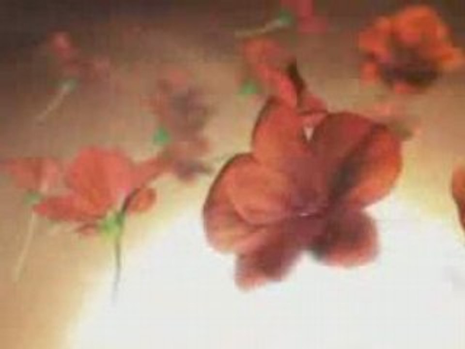 MTV Shilo Design Support Free Burma Birmanie Myanmar