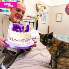 Kucing tertua dunia sambut hari jadi ke-30. Rahsianya? Pemilik kongsikan petua si bulus panjang umur