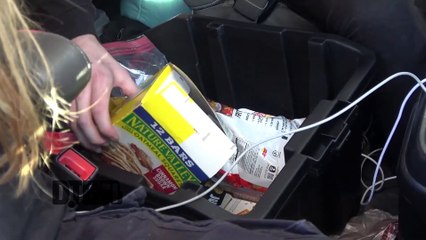 No Cure - BUS INVADERS Ep. 2034