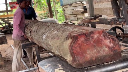 Step by Step Sawing a 2x25 Wood Accurately