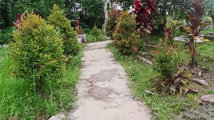 Ziarah makam Mbah Wali joungjiet
