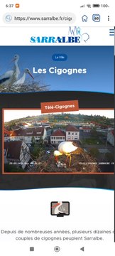 Sarralbe 28/04/25 Cigognes : Mélodie + 5 petits et 1 oeuf