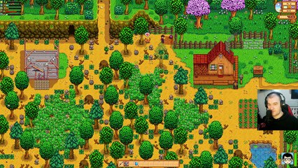 🐔Stardew Valley🐔 05 Ein Waschbär_! [DEUTSCH] _ Diesel86LP