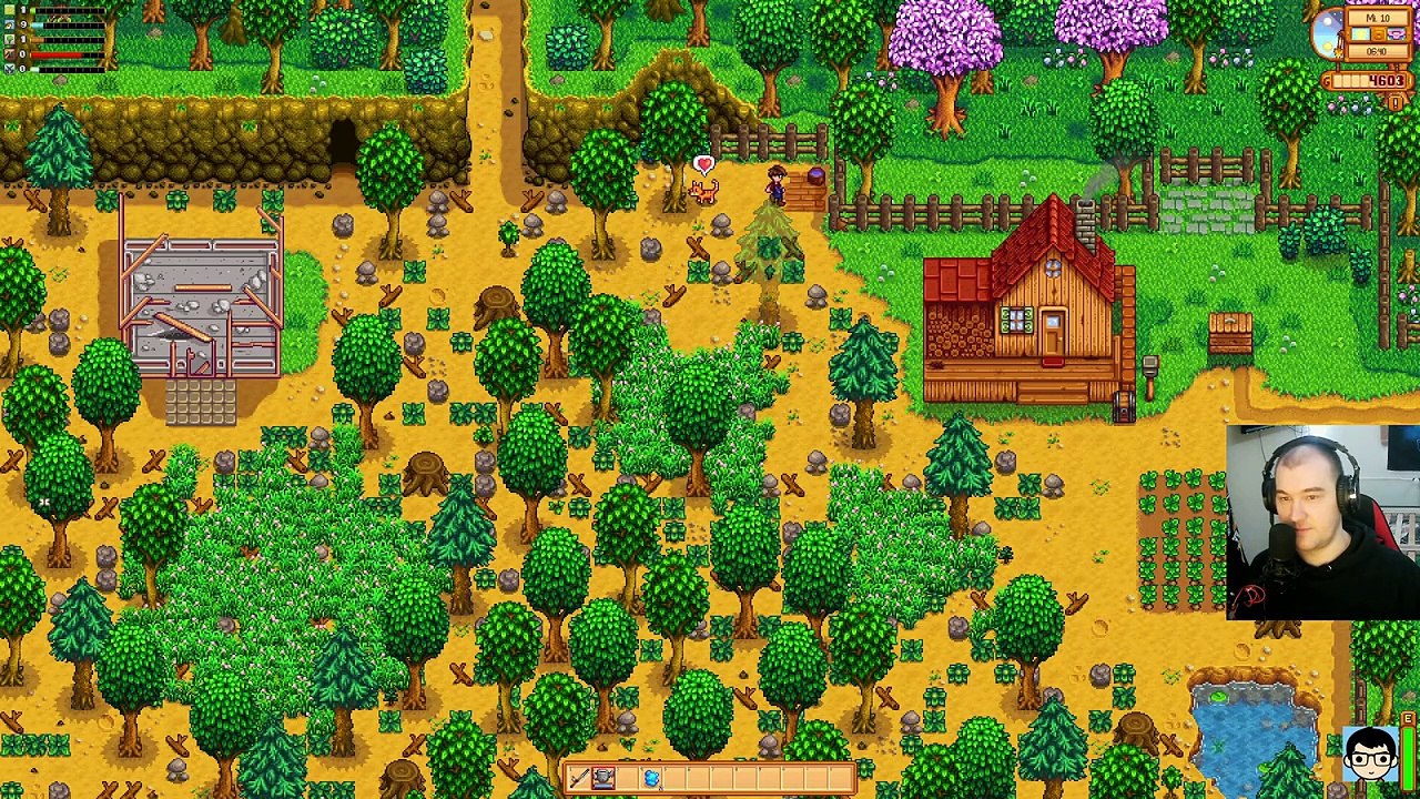 🐔stardew valley🐔 05 ein waschbär_! [deutsch] _ diesel86lp