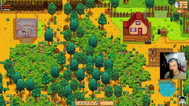 🐔Stardew Valley🐔 11 Rollenspiel mit Sebastian [DEUTSCH] _ Diesel86LP
