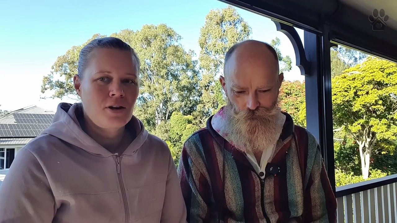 Egg Fruit Tasting: The Bizarre Yellow Fruit That Tastes Like Custard