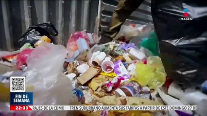 Ser reciclador, un oficio que requiere de recorridos y mucha paciencia