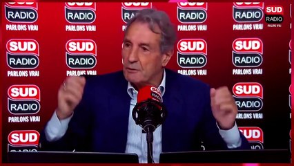 Les vols de chiens se multiplient en France