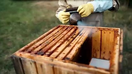 Suffering Bible | show | 2018 | Official Trailer