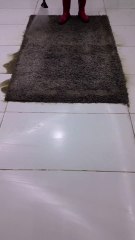 Deep Carpet Cleaning That Transforms Your Home | WestLink Services