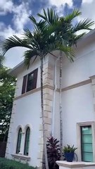 Top Exterior Painters in Fort Lauderdale | John 'The Greek' Painting