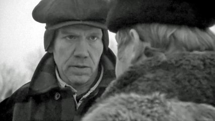 Northern Lights Trailer OV