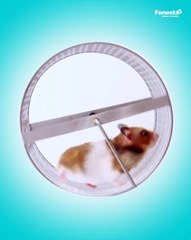 Find Your Perfect Fit with Fenesta’s Precision Windows and Doors