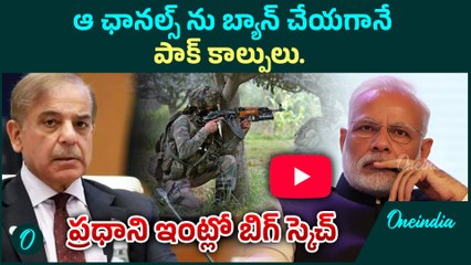 Pakistan YouTube Channels Banned in India | Major Crackdown on Anti National Content | Oneindia